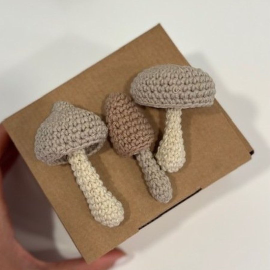 PDF lesson | Description of the Mushroom family