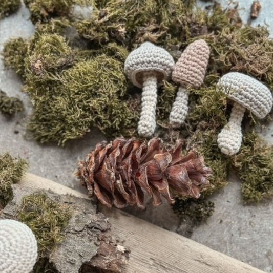 PDF lesson | Description of the Mushroom family