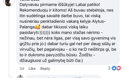 4 Iššūkis "Neriam kartu" Rankinę video prieinama iki 07.01