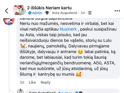 4 Iššūkis "Neriam kartu" Rankinę video prieinama iki 07.01