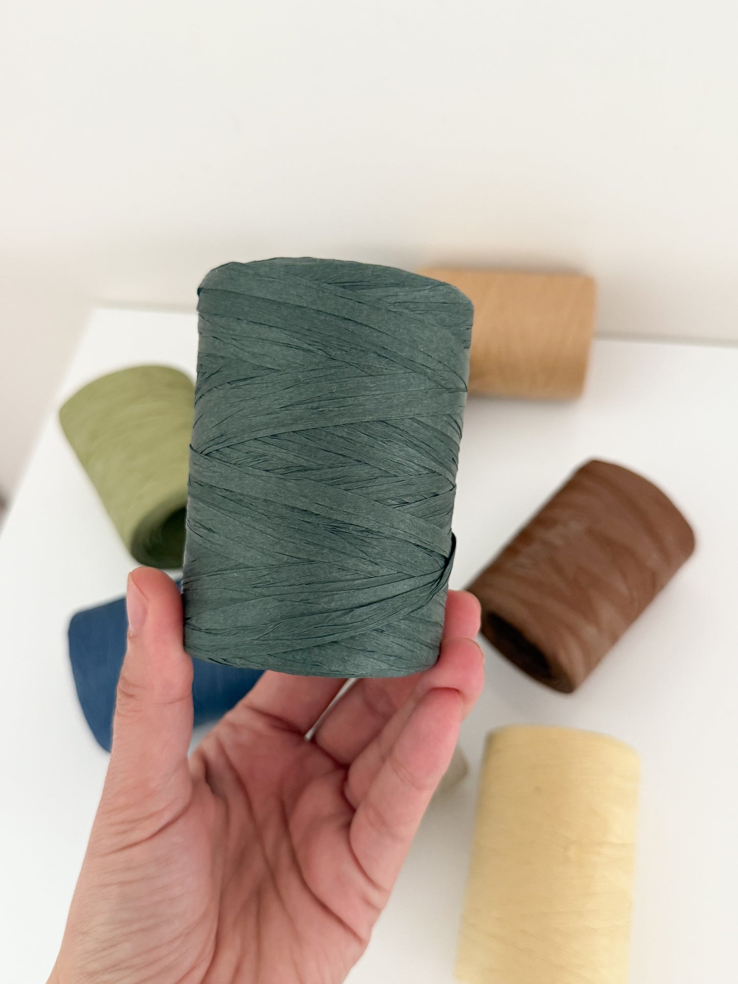 Plaunamos Raffia juostelė/ 4+1 DOVANŲ